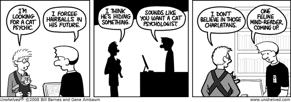 Unshelved strip for 6/3/2008